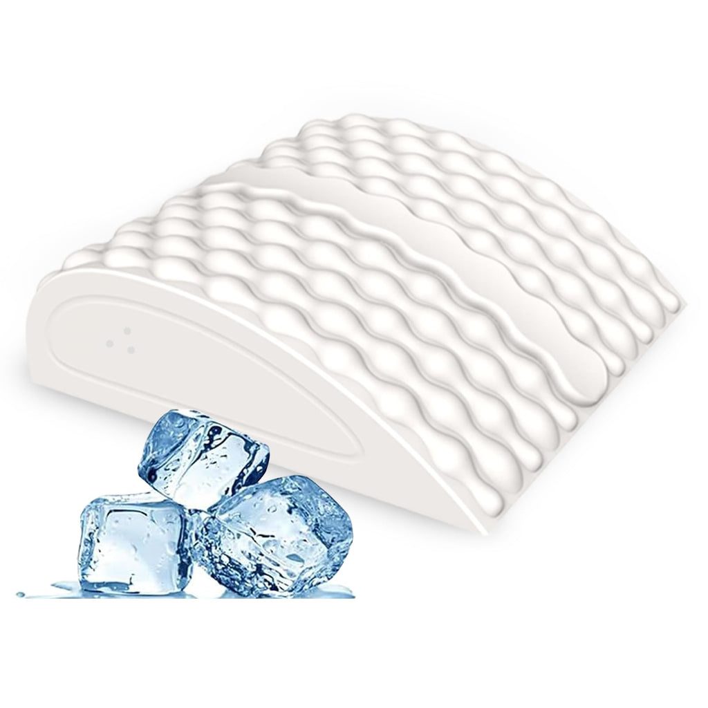 Hot & Cold Therapy Lumbar Support Pillow for Back & Sciatica Relief