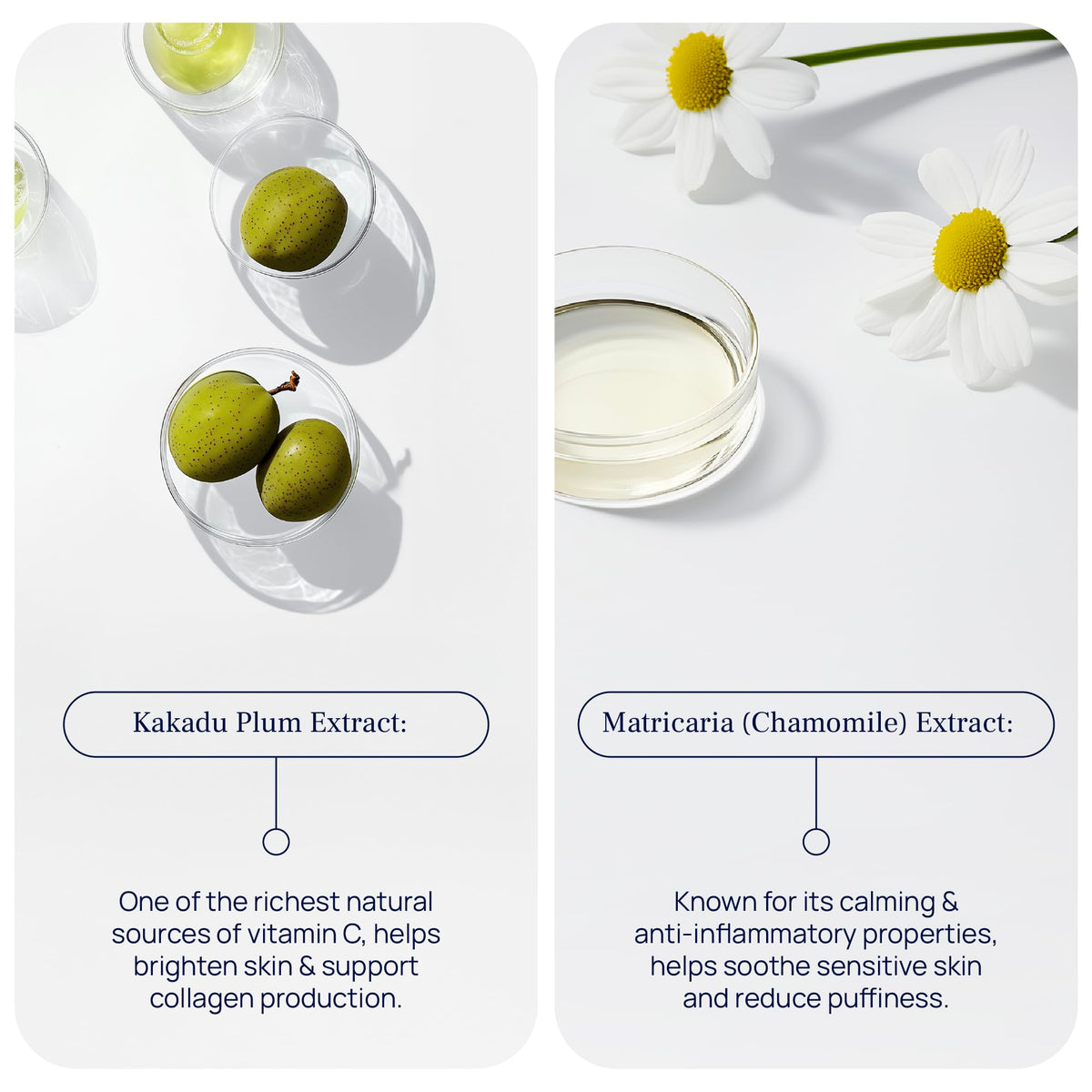 PUREANCE Hot&Cold Beauty Instrument & Lift&Glow Eye Cream